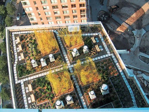 green roofs