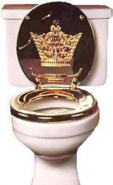 toilets in the world