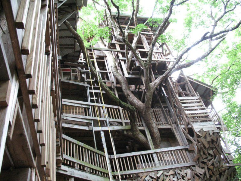 treehouse