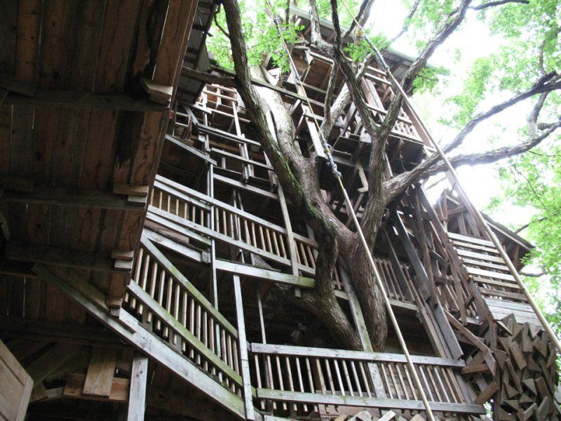 treehouse