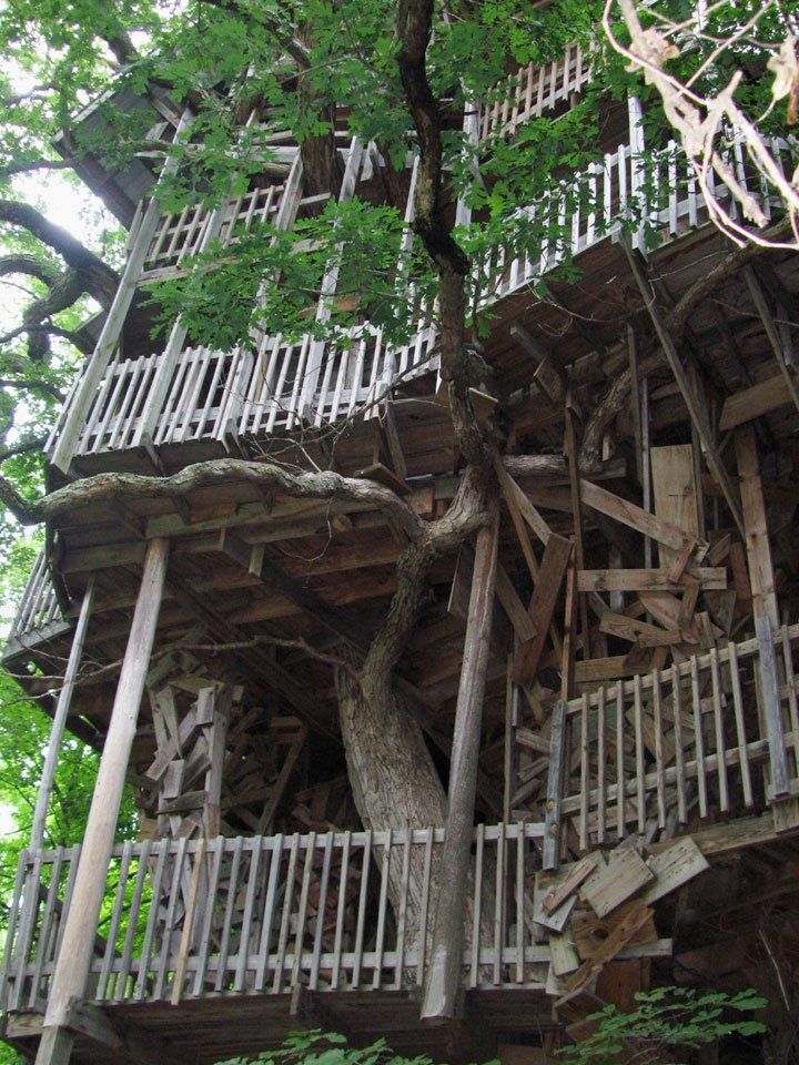 treehouse