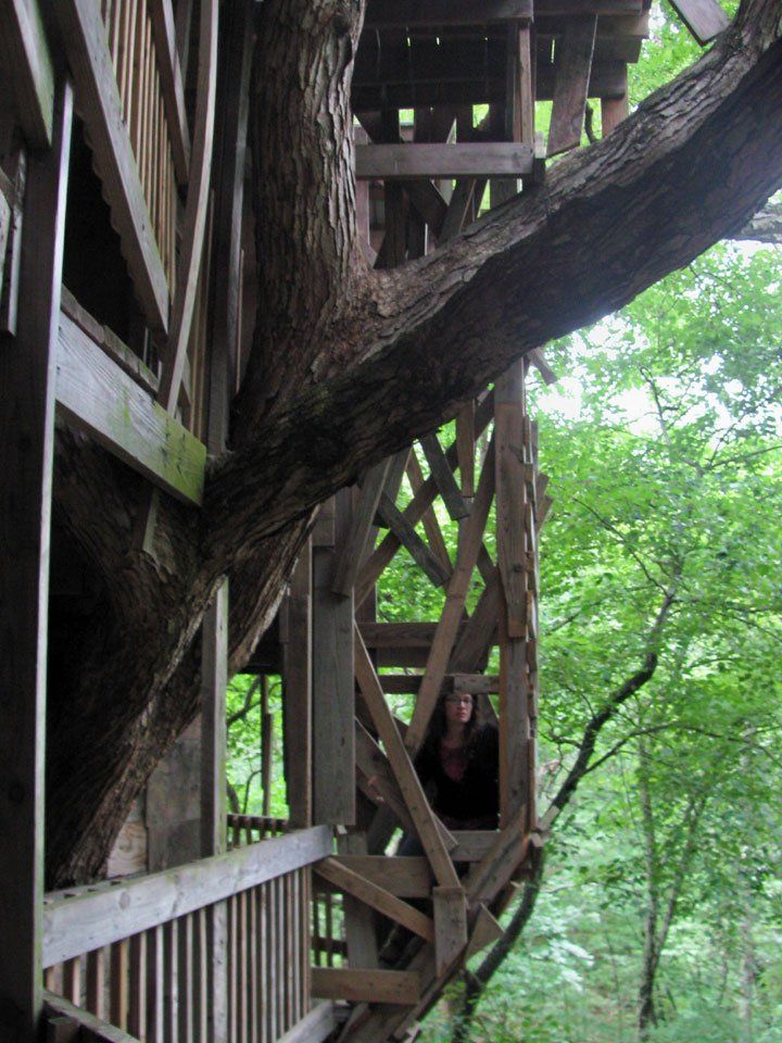 treehouse