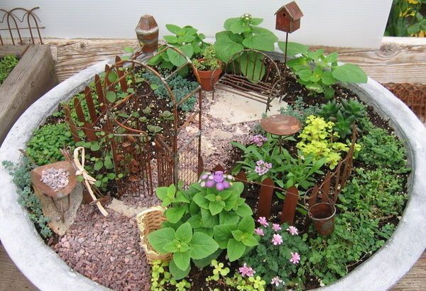tiny garden