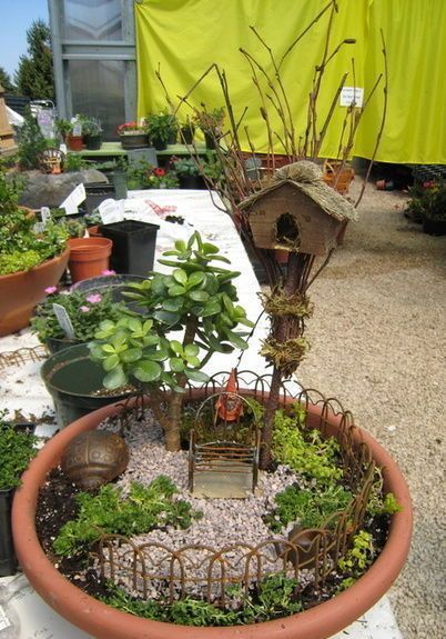 tiny garden