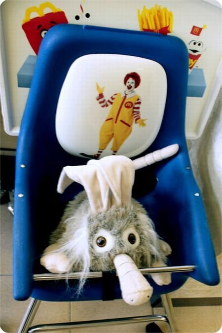 funny rabbit toy