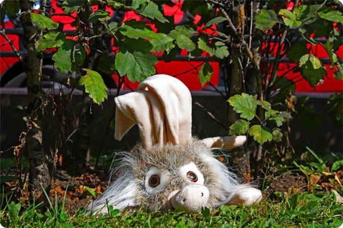 funny rabbit toy