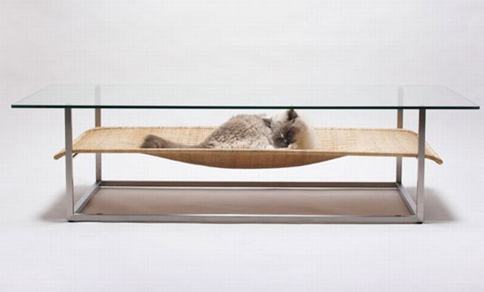 Transparent table for your pet