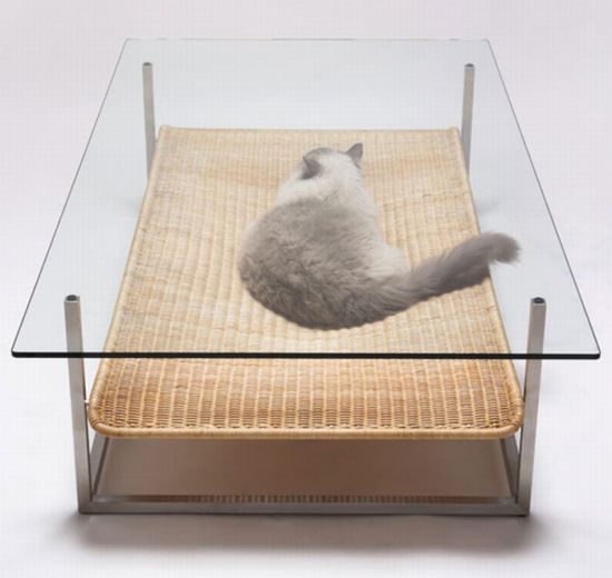 Transparent table for your pet