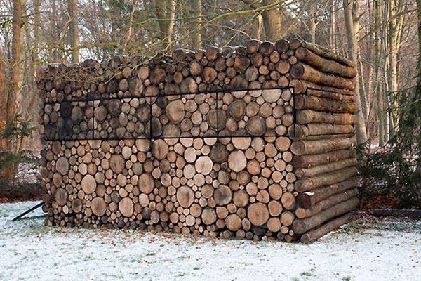 house of logs