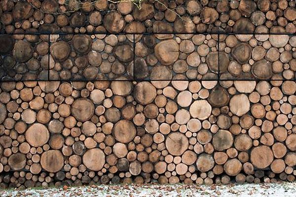 house of logs