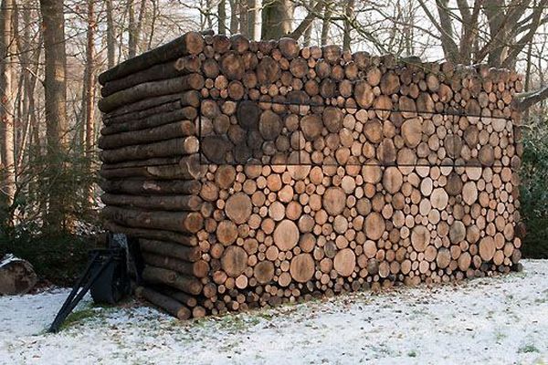 house of logs