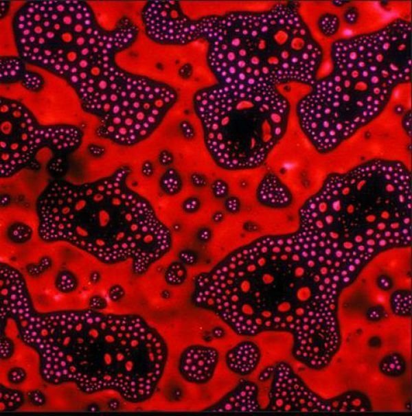 alcoholic cocktails under microscope