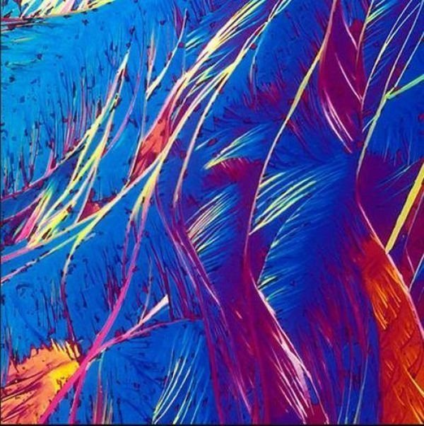 alcoholic cocktails under microscope