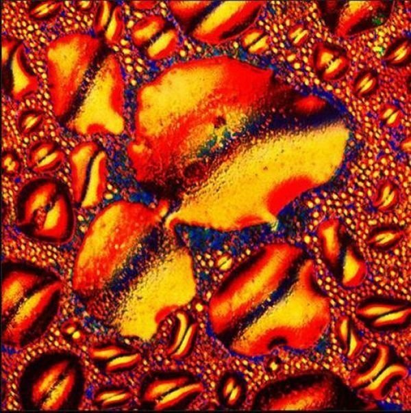 alcoholic cocktails under microscope