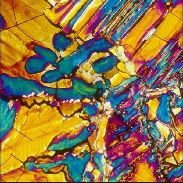 alcoholic cocktails under microscope