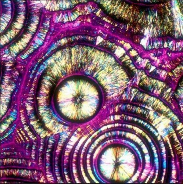 alcoholic cocktails under microscope