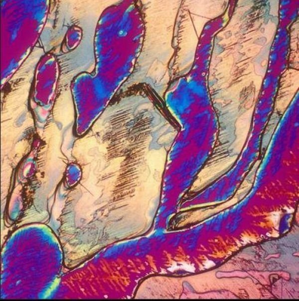 alcoholic cocktails under microscope