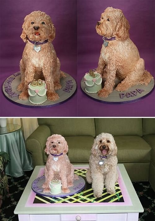 creative dog-shaped cake