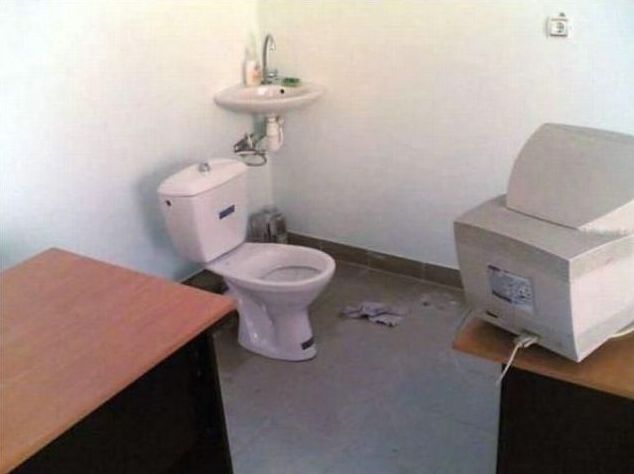 funny toilet