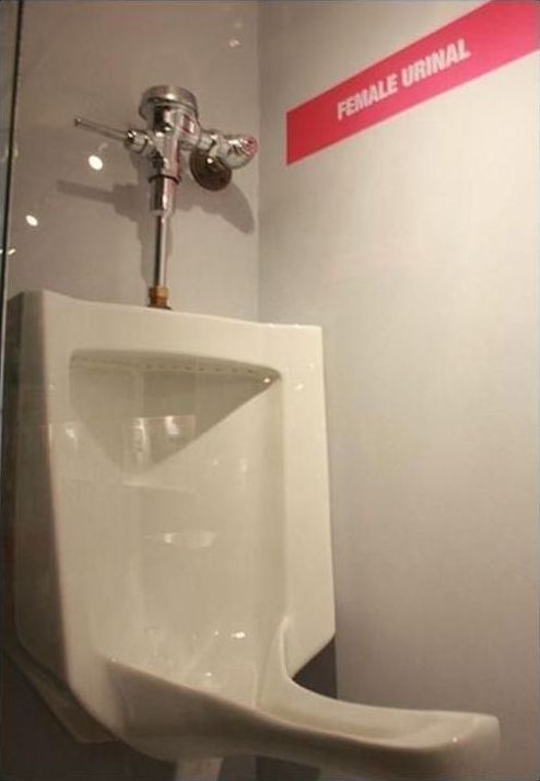 funny toilet