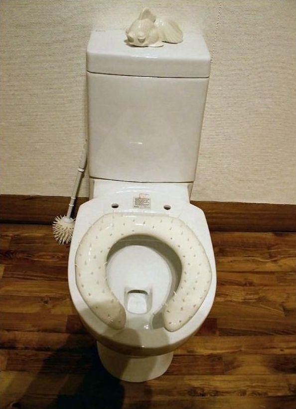 funny toilet