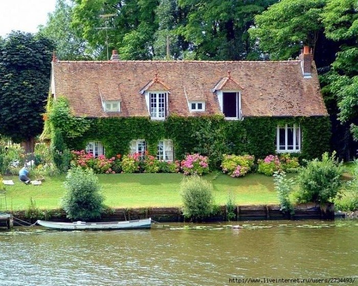 house with wild ivy