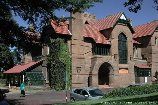 house with wild ivy