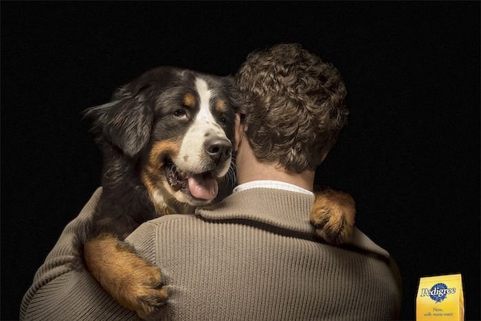 best ads with dogs