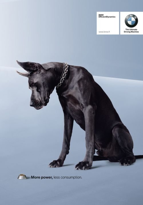 best ads with dogs