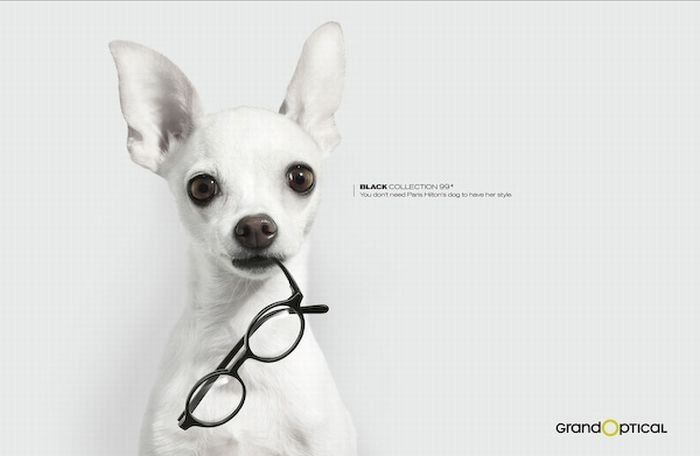 best ads with dogs