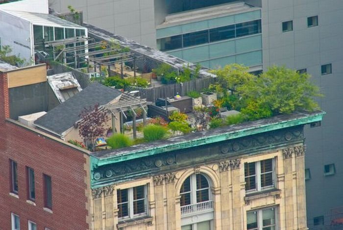 rooftops architecture