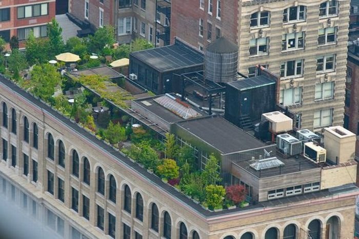 rooftops architecture