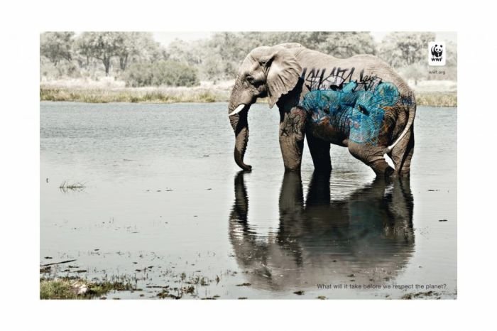 Cannes Lions International Advertising Festival