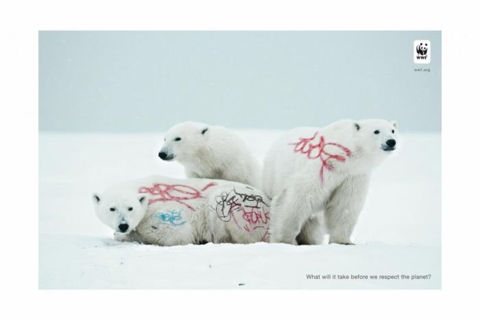 Cannes Lions International Advertising Festival