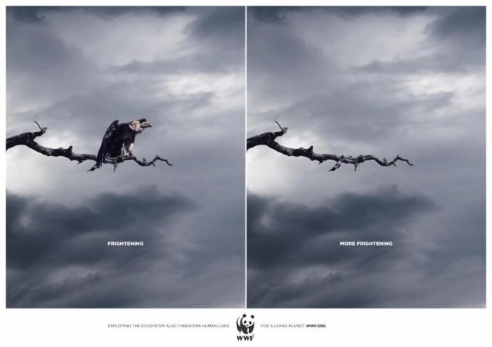 Cannes Lions International Advertising Festival