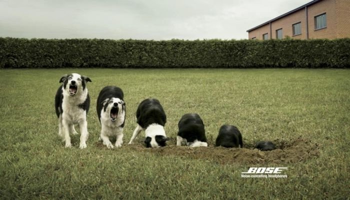 Cannes Lions International Advertising Festival