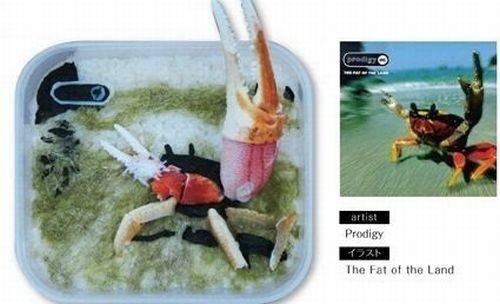 bento lunches decorated as album covers