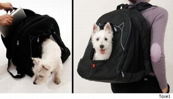 unusual backpack