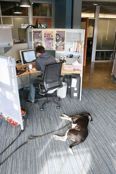 Inside the Digg office