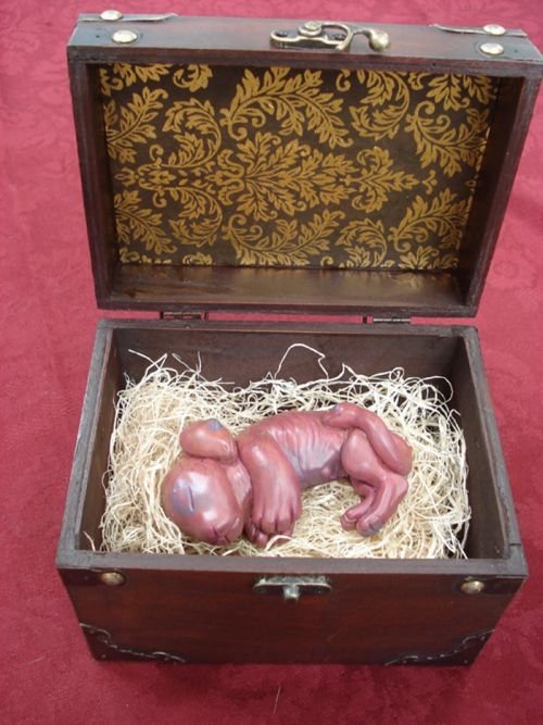 chimera fetus box