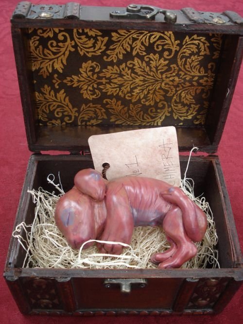 chimera fetus box