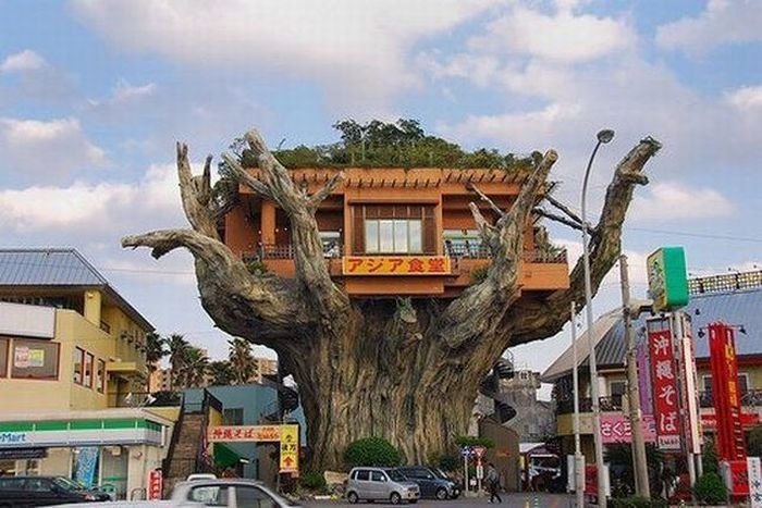 unusual restaurants in the world