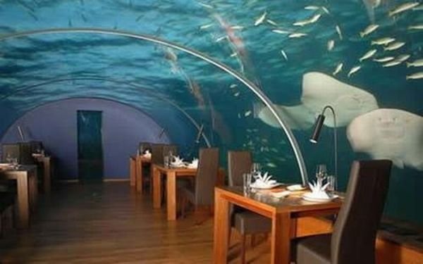 unusual restaurants in the world