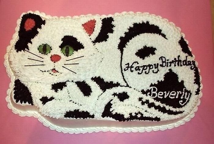 cat cake