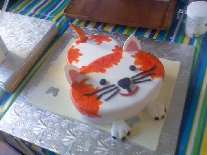 cat cake