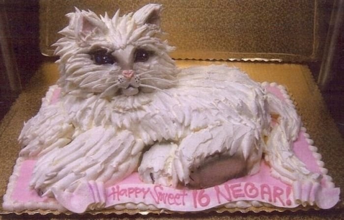 cat cake