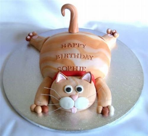 cat cake