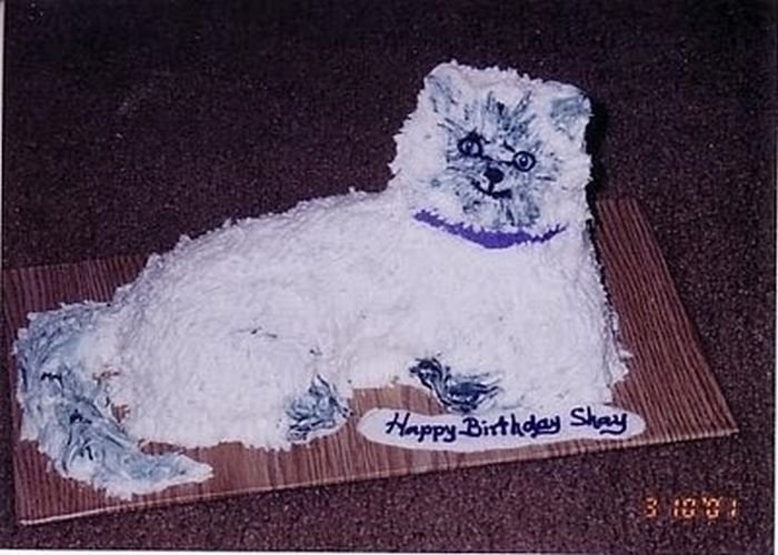 cat cake