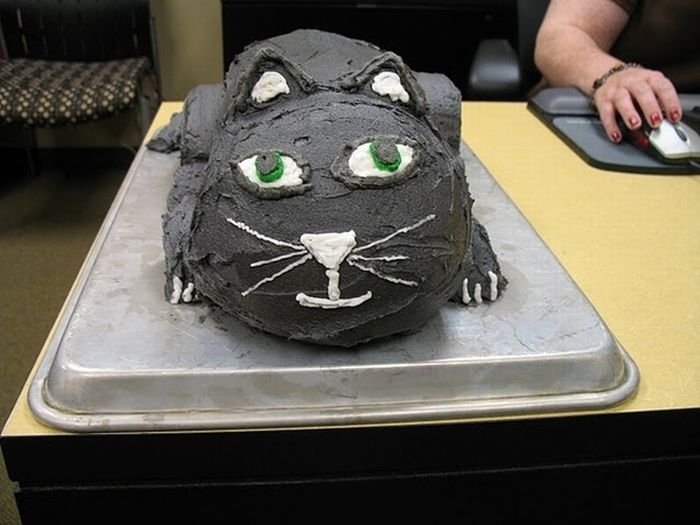 cat cake