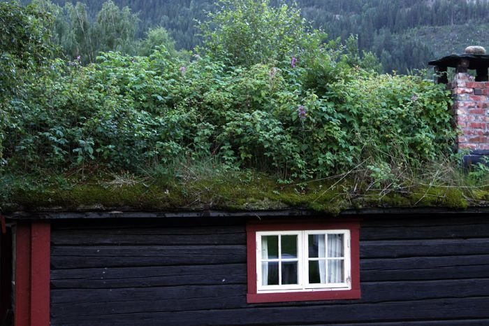 Sod roofs, Norway